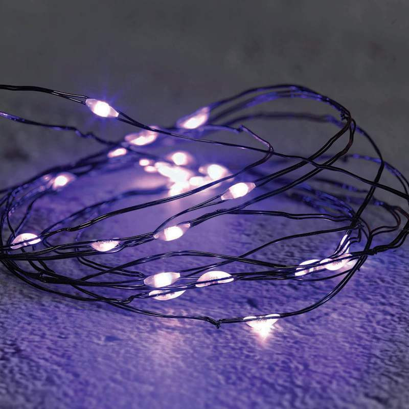 30-Count Battery Operated Purple LED Wire Lights with 8 Functions Timer | At Home