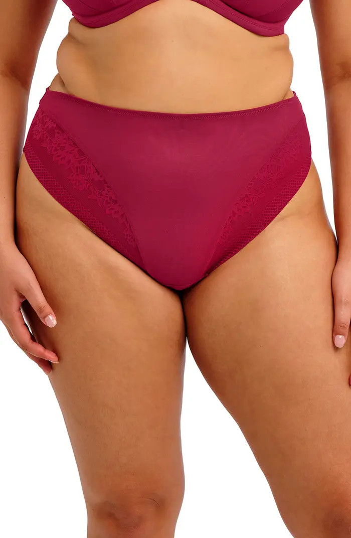 Elomi Nerina High Leg Briefs | Nordstrom | Nordstrom