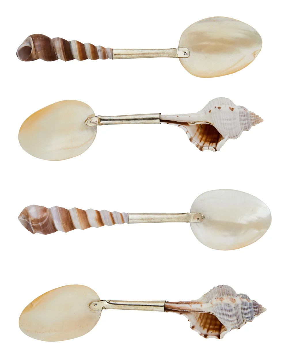 Shell Spoons | Jayson Home