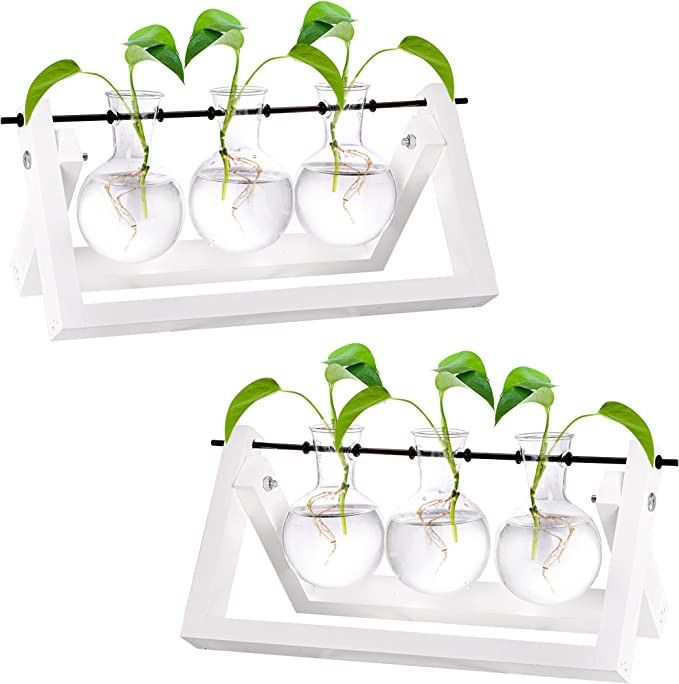 Amazon.com: Nicunom 2 Pcs Desktop Glass Planter Bulb Vase, White Tabletop Plant Terrarium with Wh... | Amazon (US)