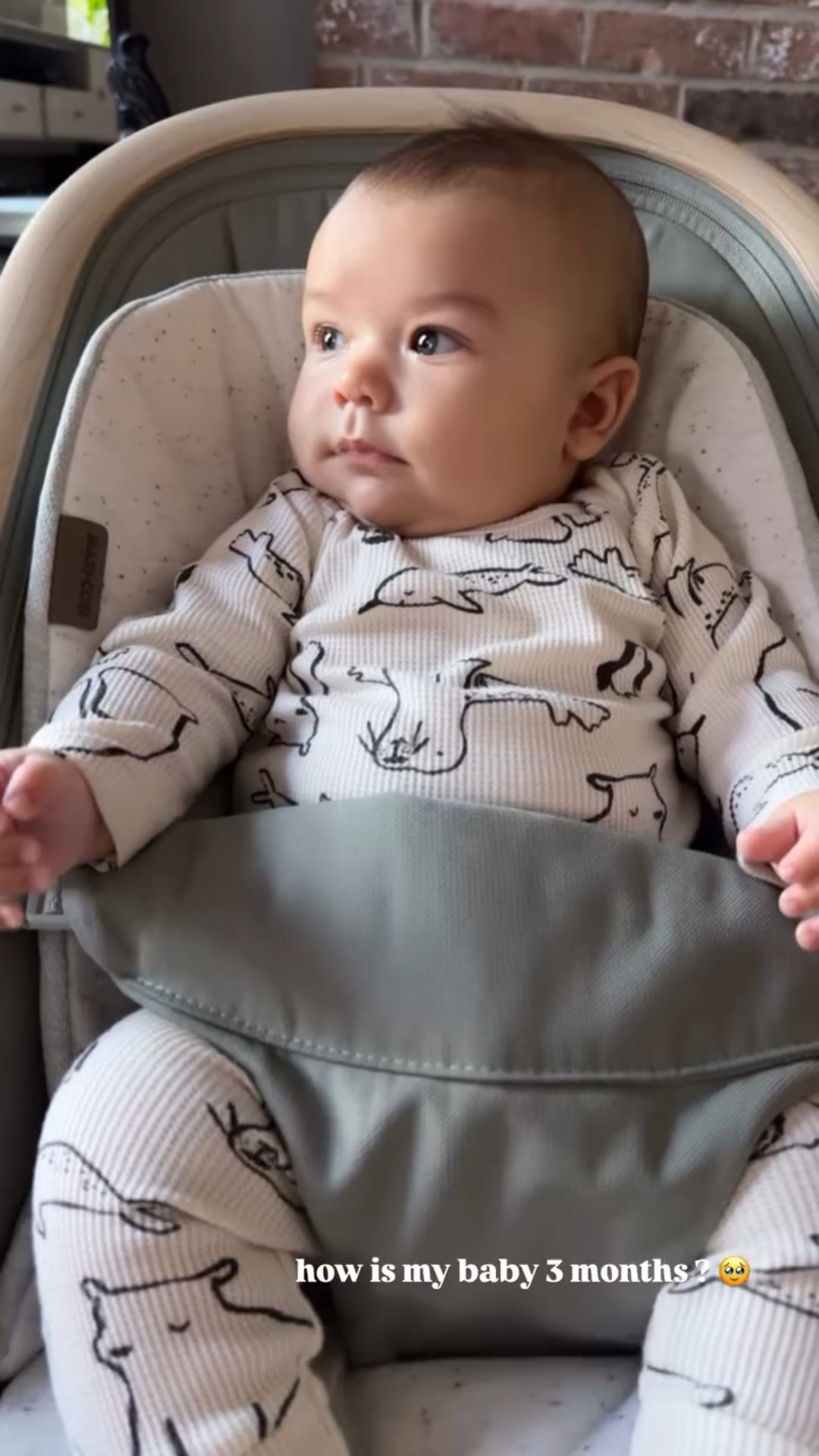 how is my baby 3 months ? 🥹


#LTKBaby #LTKmomlife #LTKvlog