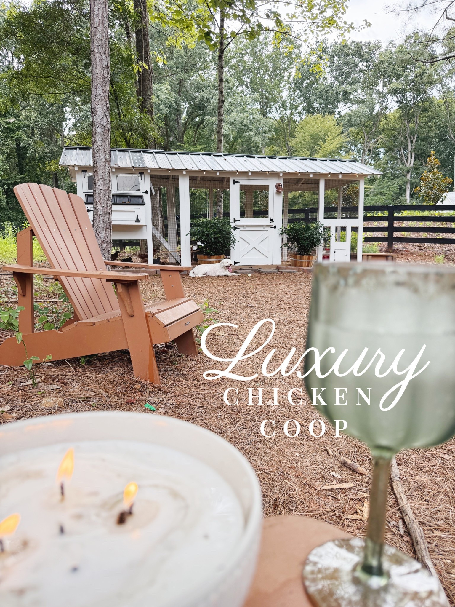 Also loving our luxury chicken coop from Carolina Coops! It comes in a kit that is easy to assemble and the maintenance of your flock inside this coop is virtually nothing! It is so easy to have chickens with Carolina Coops 🐔 #chickens #coop #chickencoop #chicken #carolinacoops

#LTKPets #LTKHome #LTKFamily