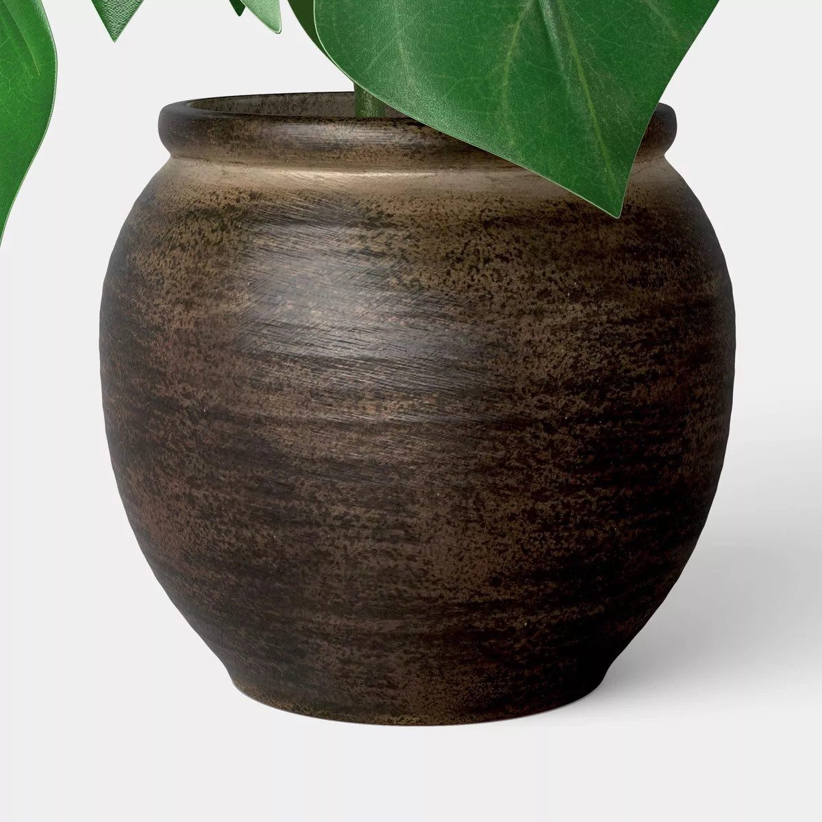 Climbing Monstera Plant - Threshold\u2122 | Target