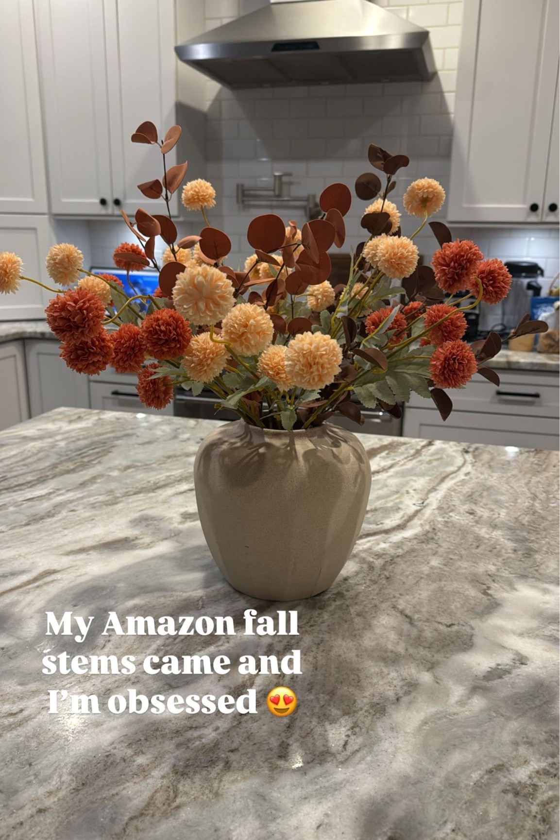 Love these faux stems for Fall 🍂 From Amazon! Color is mixed orange 

#LTKFindsUnder50 #LTKSeasonal #LTKHome
