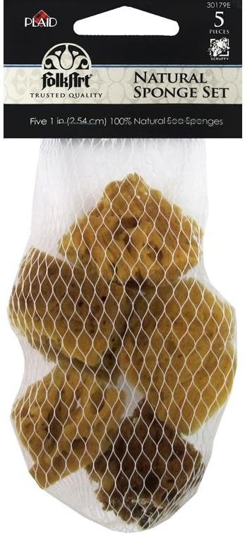 FolkArt Natural Sponge Set, Small,Brown | Amazon (US)