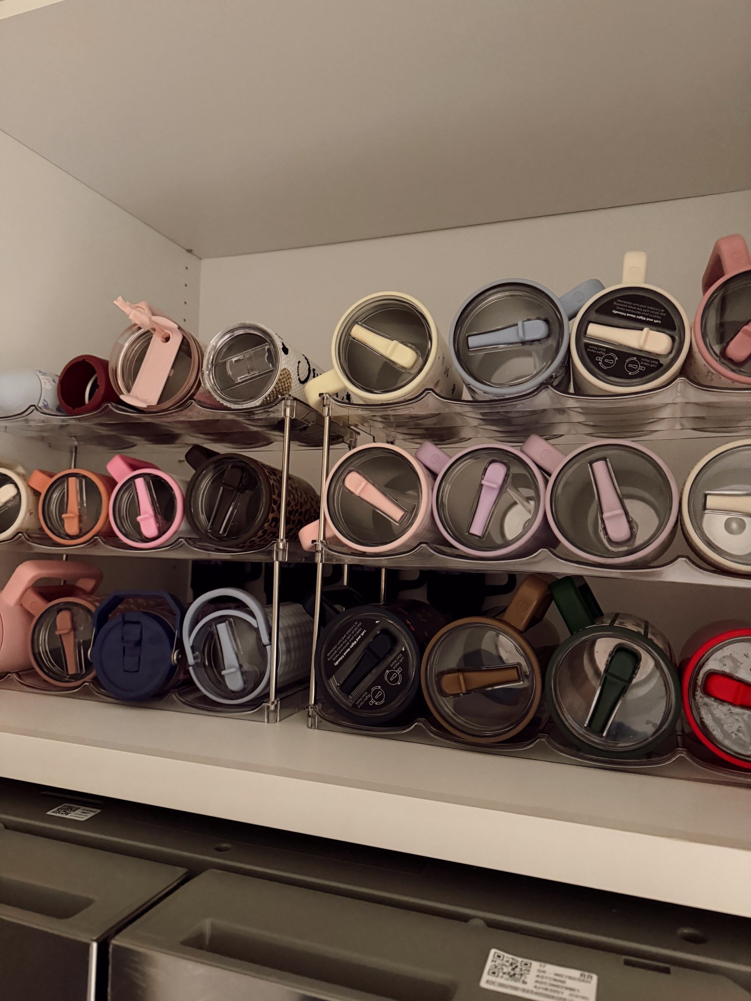 The best hydro jug storage! 