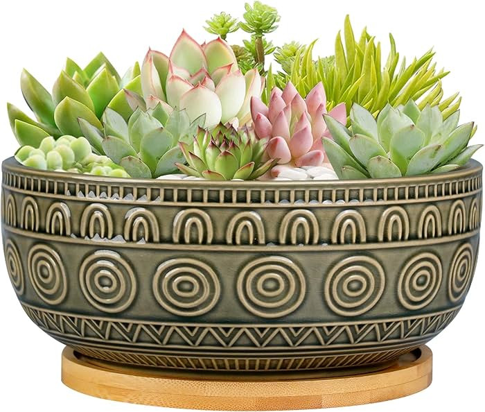 Amazon.com : Eightpot 8 Inch Ceramic Succulent Planter Pot with Drainage Hole and Saucer Round Sh... | Amazon (US)