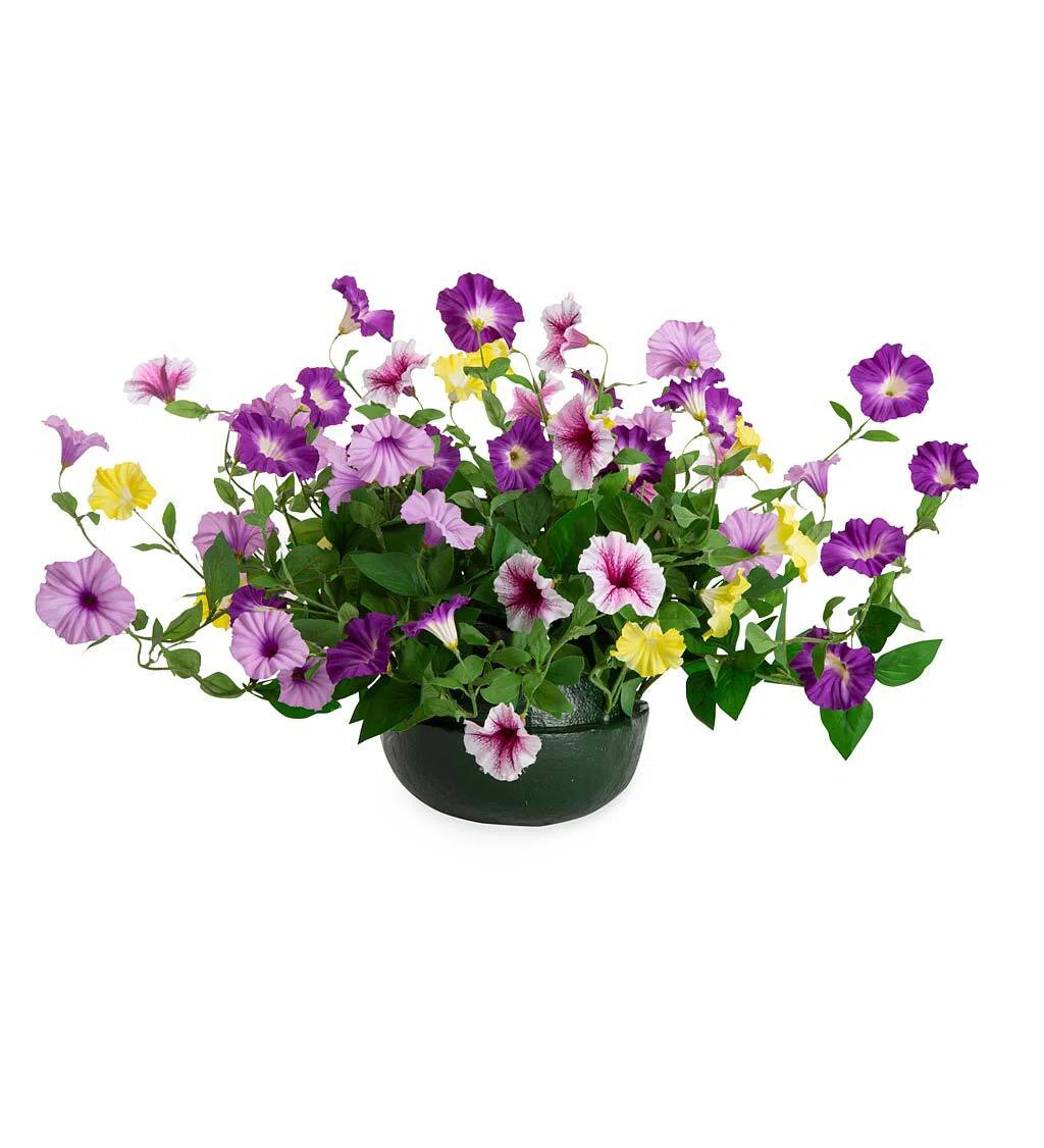 Mixed Assortment Hanging Basket Arrangement in Basket | Wayfair North America