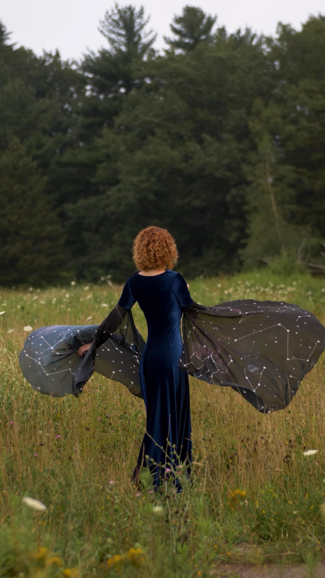 I will never get over the sleeves on this dress!