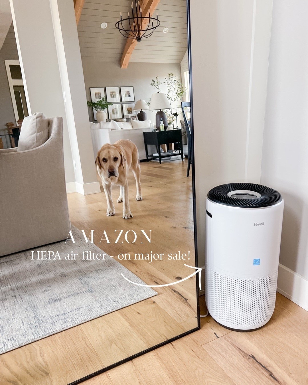 Amazon - Air Filter - Home

#LTKStyleTip 

