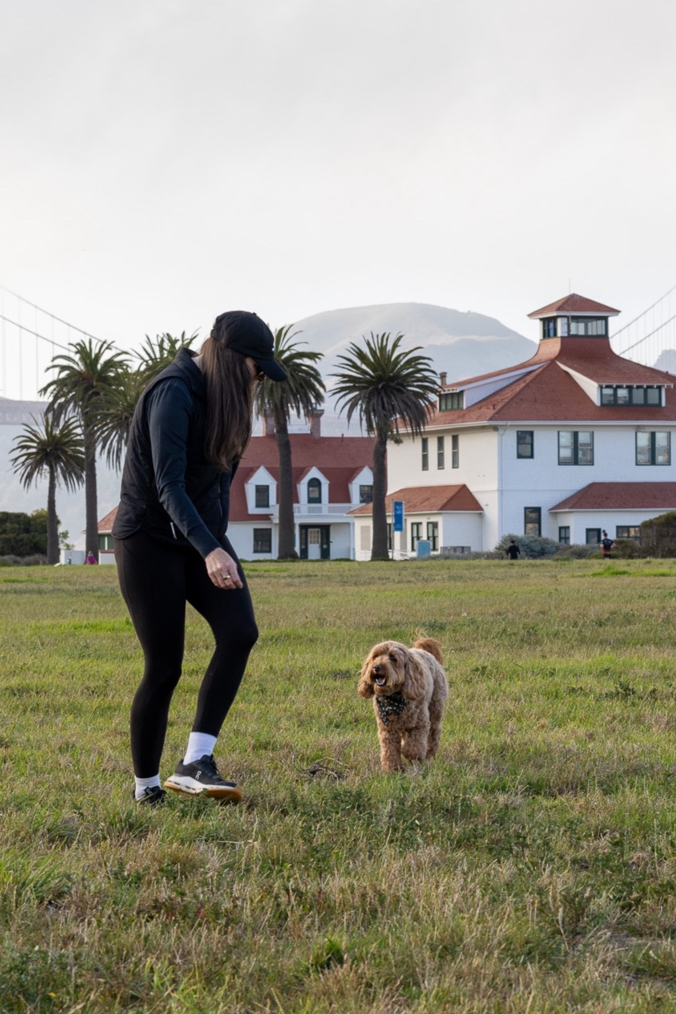 Dog park fit

#LTKFindsUnder100 #LTKActive #LTKTravel