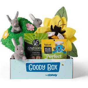 Goody Box Springtime Dog Toys & Treats, Medium/Large | Chewy.com