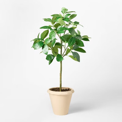 Green Leaf Mini Artificial Tree - Threshold™ designed with Studio McGee | Target