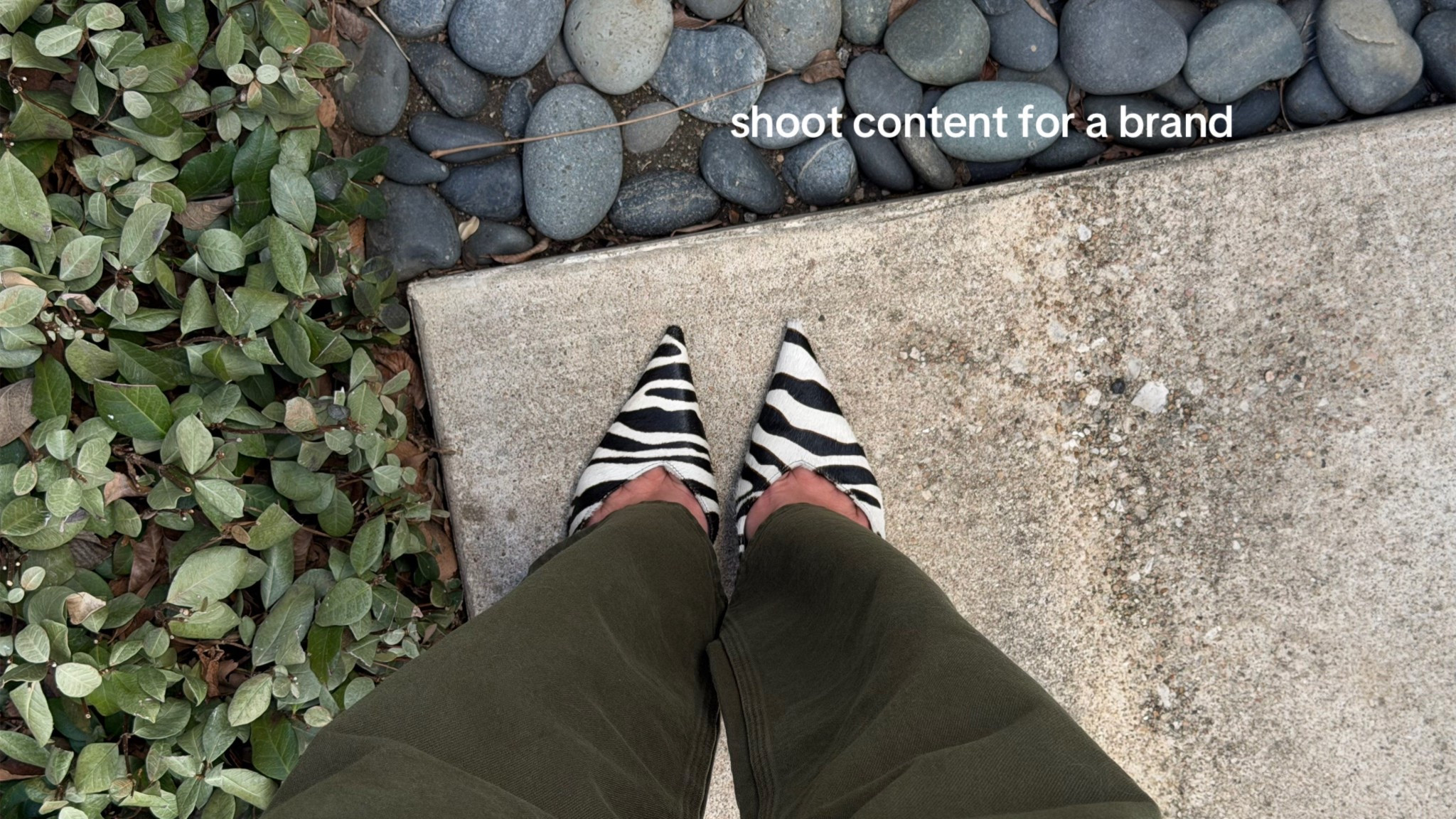 zebra pumps 🦓

#LTKootd #LTKWorkwear #LTKdayinmylife