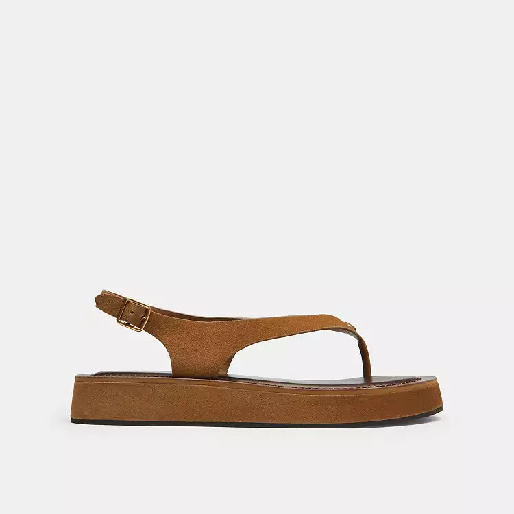 Sculpted C Platform Thong Sandal | Coach (US)