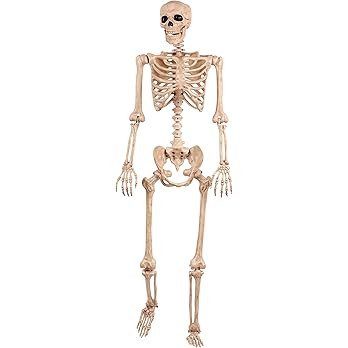 Crazy Bonez Pose-N-Stay Skeleton | Amazon (US)