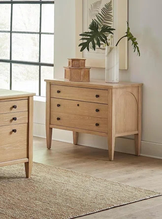 Araia 36'' Wide 2 -Drawer File Cabinet | Wayfair North America