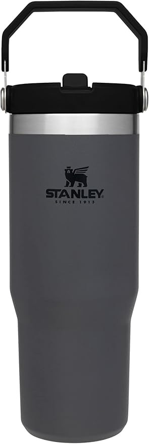STANLEY IceFlow Stainless Steel Tumbler with Straw, Vacuum Insulated Water Bottle for Home, Offic... | Amazon (US)
