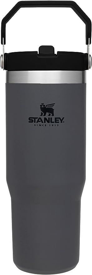 Stanley IceFlow Stainless Steel Tumbler with Straw - Vacuum Insulated Water Bottle for Home, Offi... | Amazon (US)