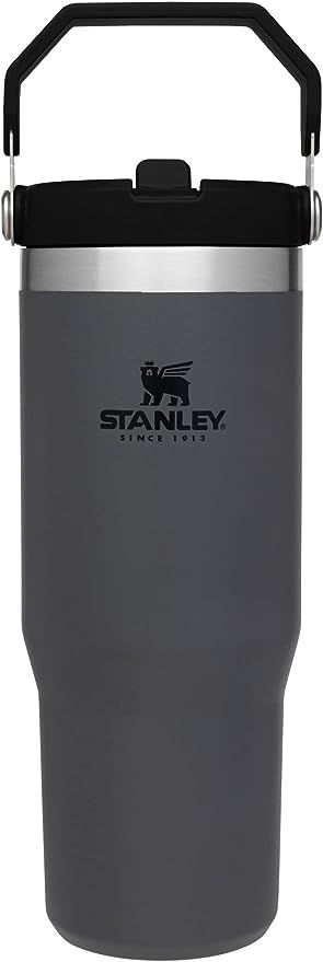 Stanley IceFlow Stainless Steel Tumbler with Straw, Vacuum Insulated Water Bottle for Home, Offic... | Amazon (US)