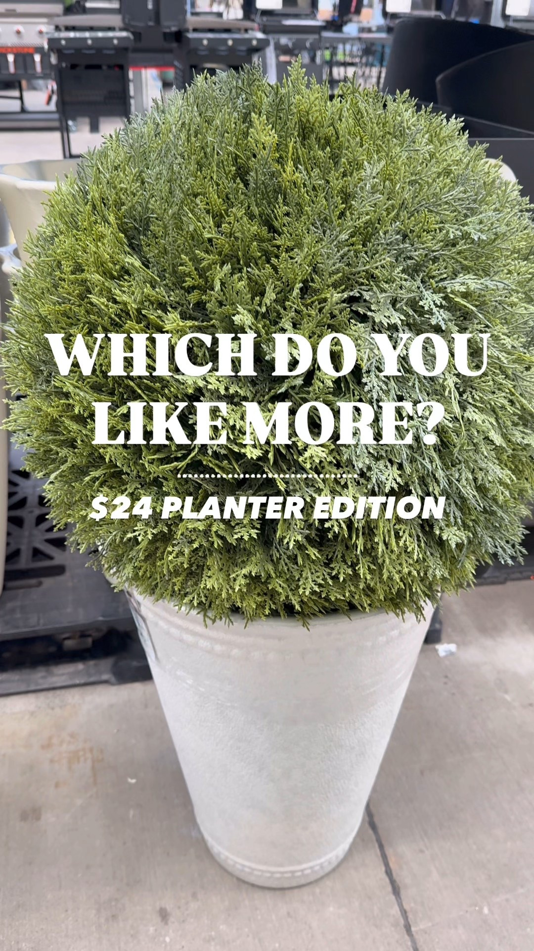 #LTKWedding #LTKHome #LTKSeasonal