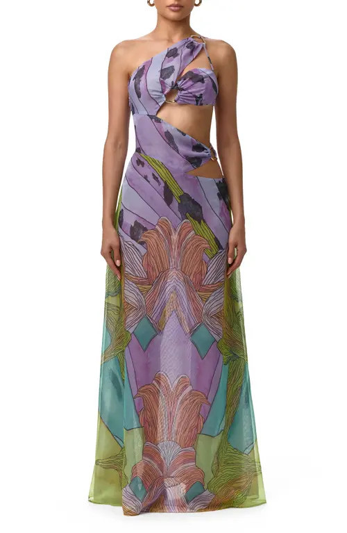 Naked Wardrobe Print Sheer Chiffon Cutout Maxi Dress in Lethal Botanical at Nordstrom, Size X-Small | Nordstrom