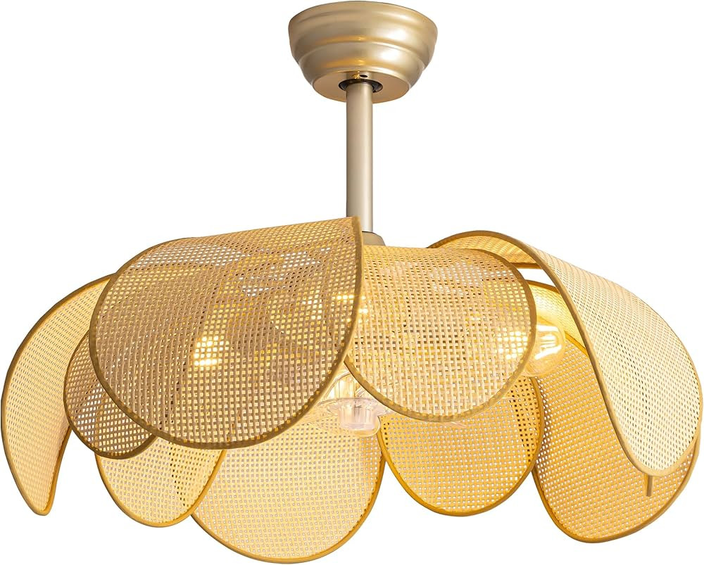 Fandelier Boho Ceiling Fans with Lights and Remote,Rattan chandelier Ceiling Fan for Bedroom,Livi... | Amazon (US)