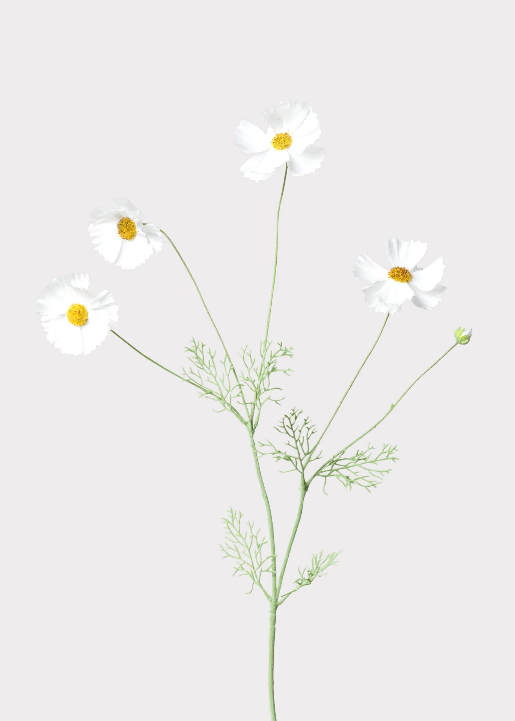 Faux Cosmos Spray in White | Artificial Wildflowers at Afloral | Afloral