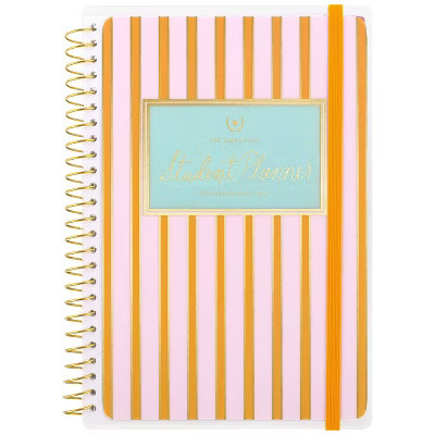 Emily Ley for At-A-Glance Weekly/Monthly 6.75"x8.875" Pink Stripe with Foil Student Small Planner | Target