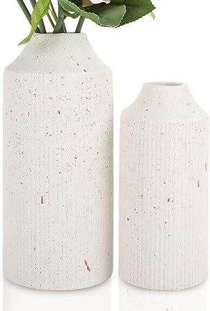 LiteViso Ceramic Rustic Farmhouse White Vase Set for Home Decor, Set of 2 Distressed Modern Potte... | Amazon (US)