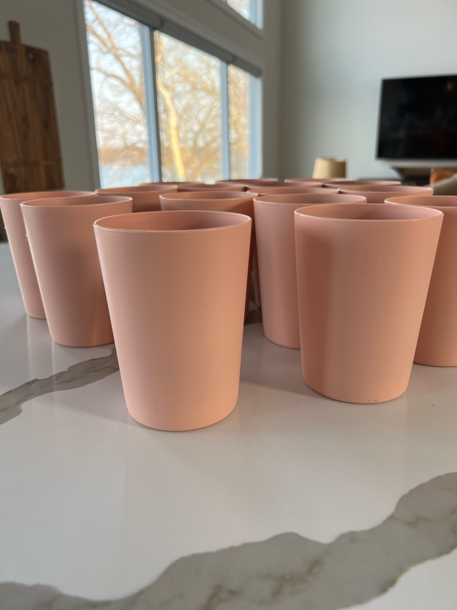 These nude plastic cups from Walmart grabbed my eye and were only $.50 each! The website says they’re pink but I would say a dusty nude pink/peach. Grabbed them for the lake house.

#LTKhome