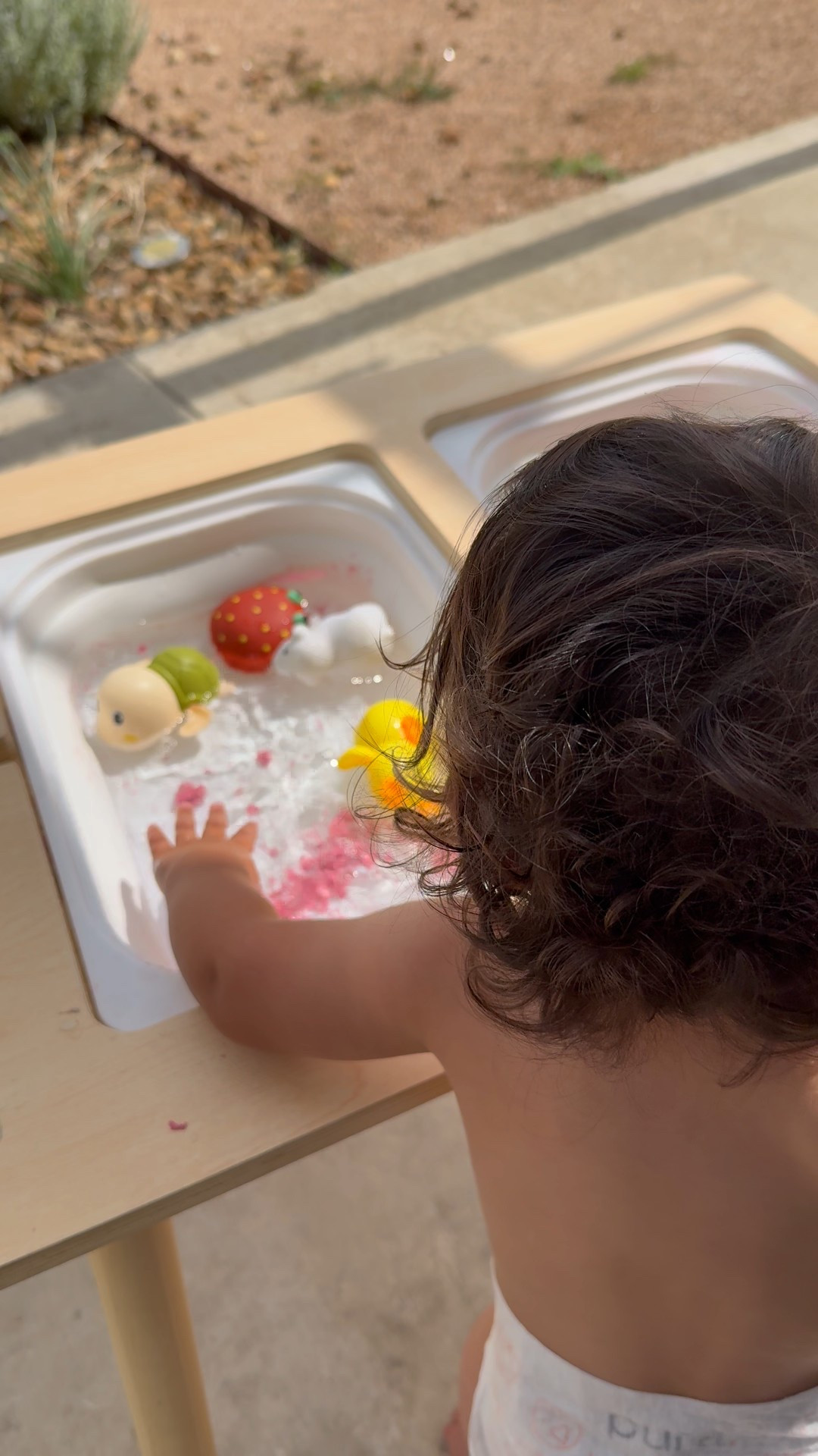 We love our sensory table for outdoor and indoor fun!

#LTKKids #LTKBaby #LTKFindsUnder100