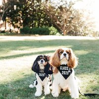 Class Of 2022 Graduation Over The Collar Dog Bandana, Graduation Announcement Idea, Photo Prop, Tail | Etsy (US)