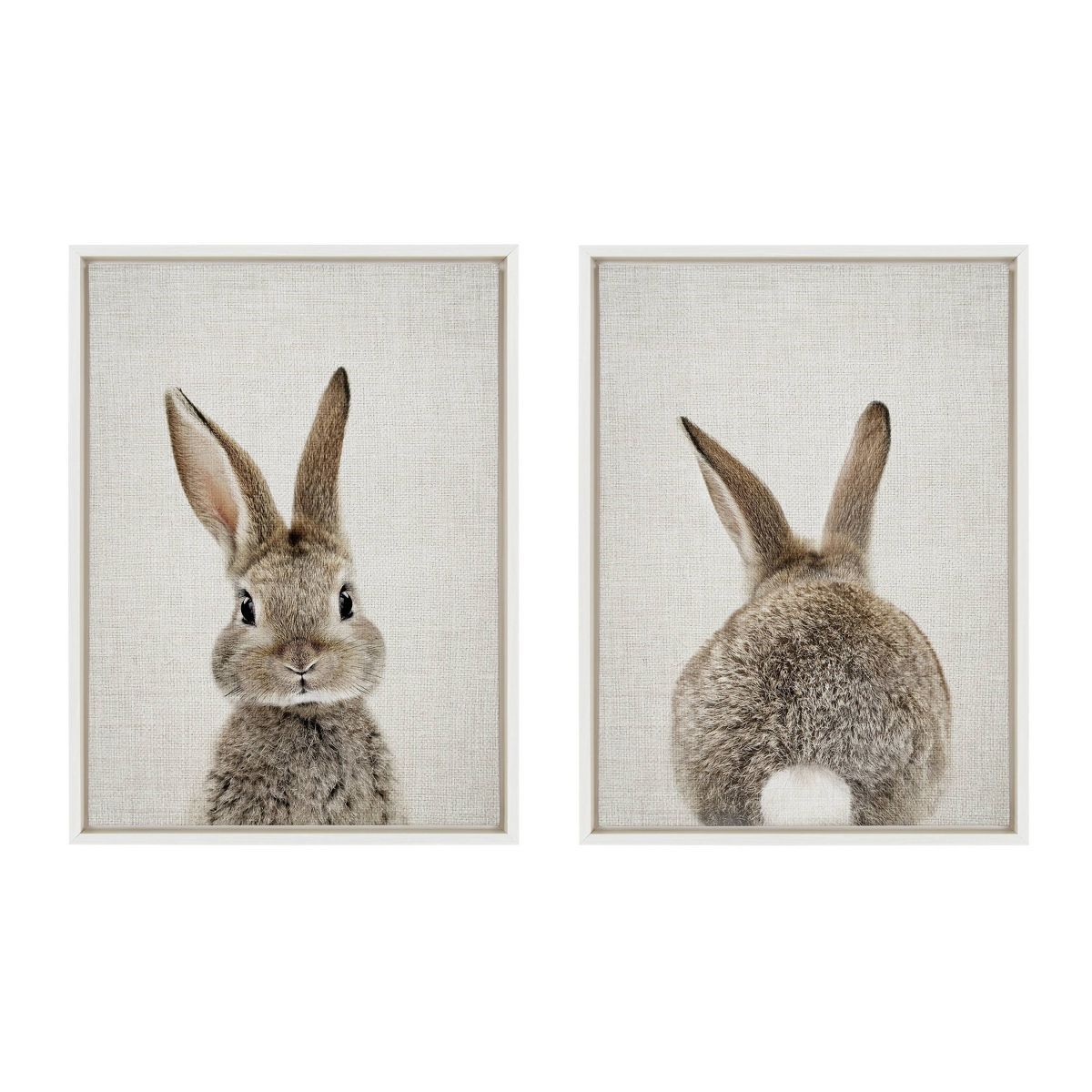 (Set of 2) 18" x 24" Sylvie Bunny Portrait And Tail Framed Canvas Set White - Kate & Laurel All T... | Target