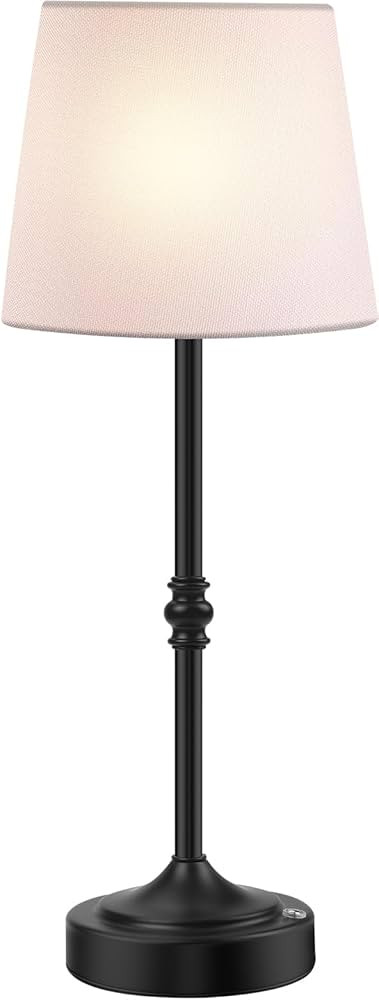 Cordless Lamp LED Table Lamp | Amazon (US)