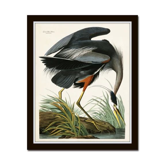 Vintage Audubon Blue Heron Bird Print, Giclee, Art Print, Poster, Home Decor, Natural History Ill... | Etsy (US)