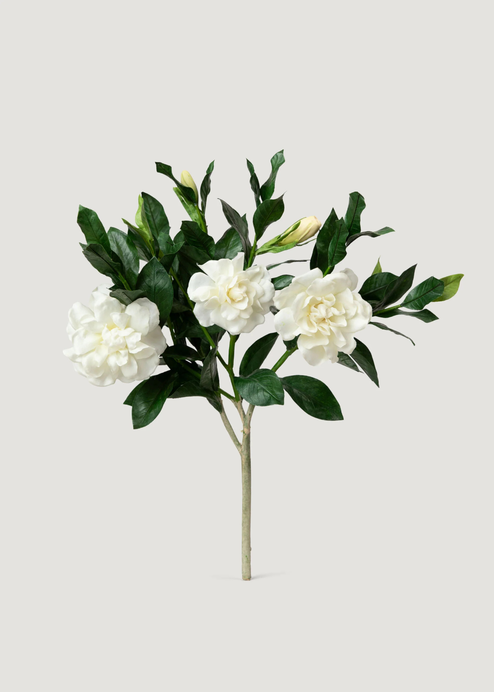 Cream Faux Gardenia Branch | Luxe Artificial Flowers | Afloral | Afloral