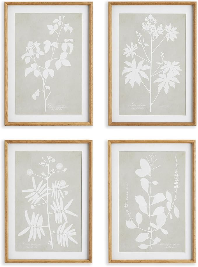 Napa Home & Garden Foliage Study Set of 4: Elegant Prints on Taupe Beveled mats Warm Wood Frames ... | Amazon (US)