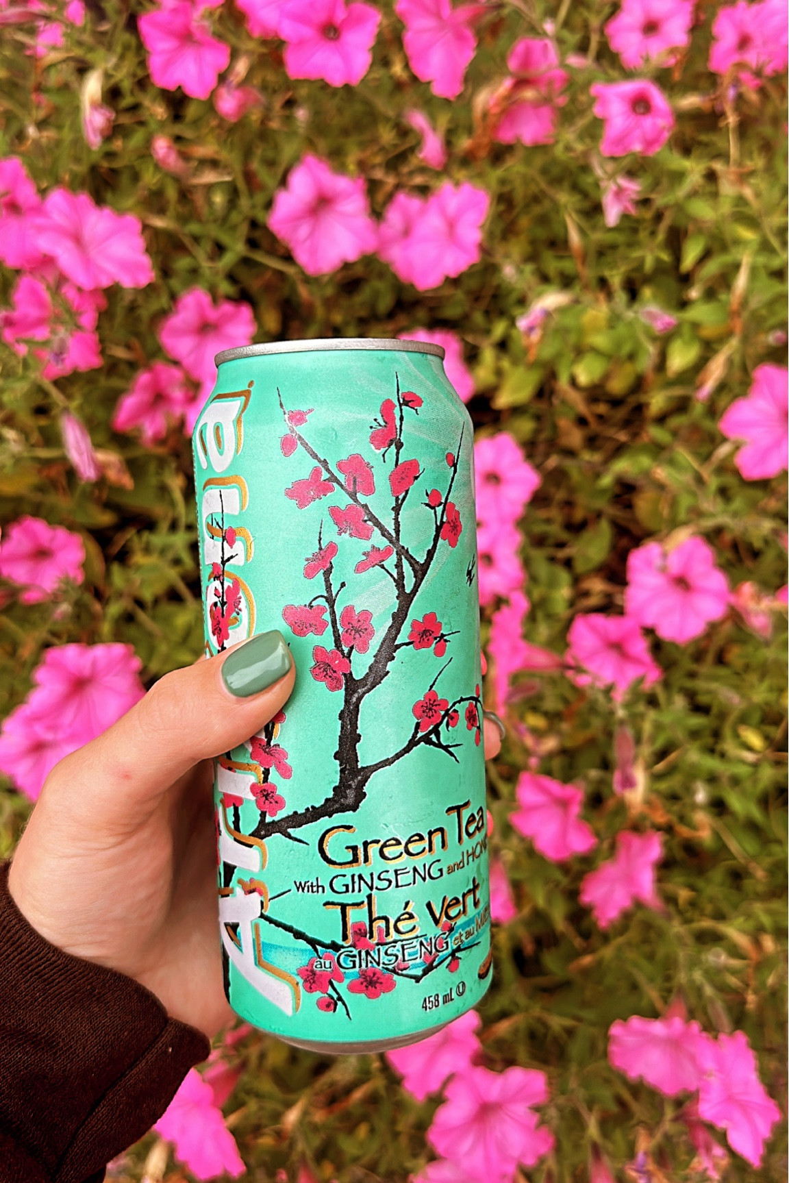 Green tea, Arizona green tea, drinks, canned drinks, sweet tea, the best green tea drink