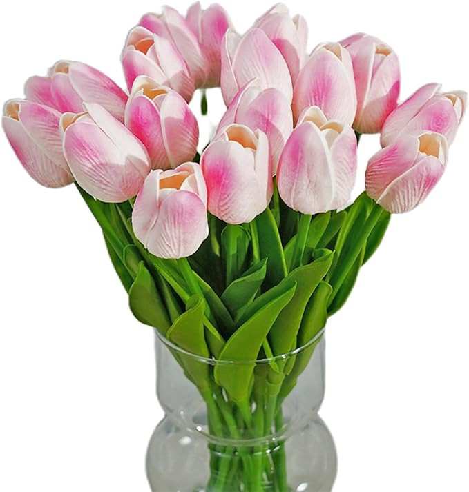 Visit the Nature’s Mimic Store | Amazon (US)