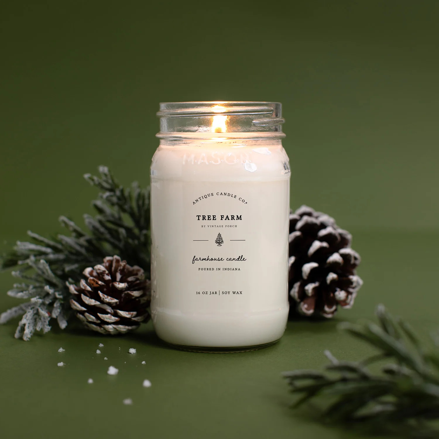 Tree Farm 16 oz candle | Antique Candle Co.