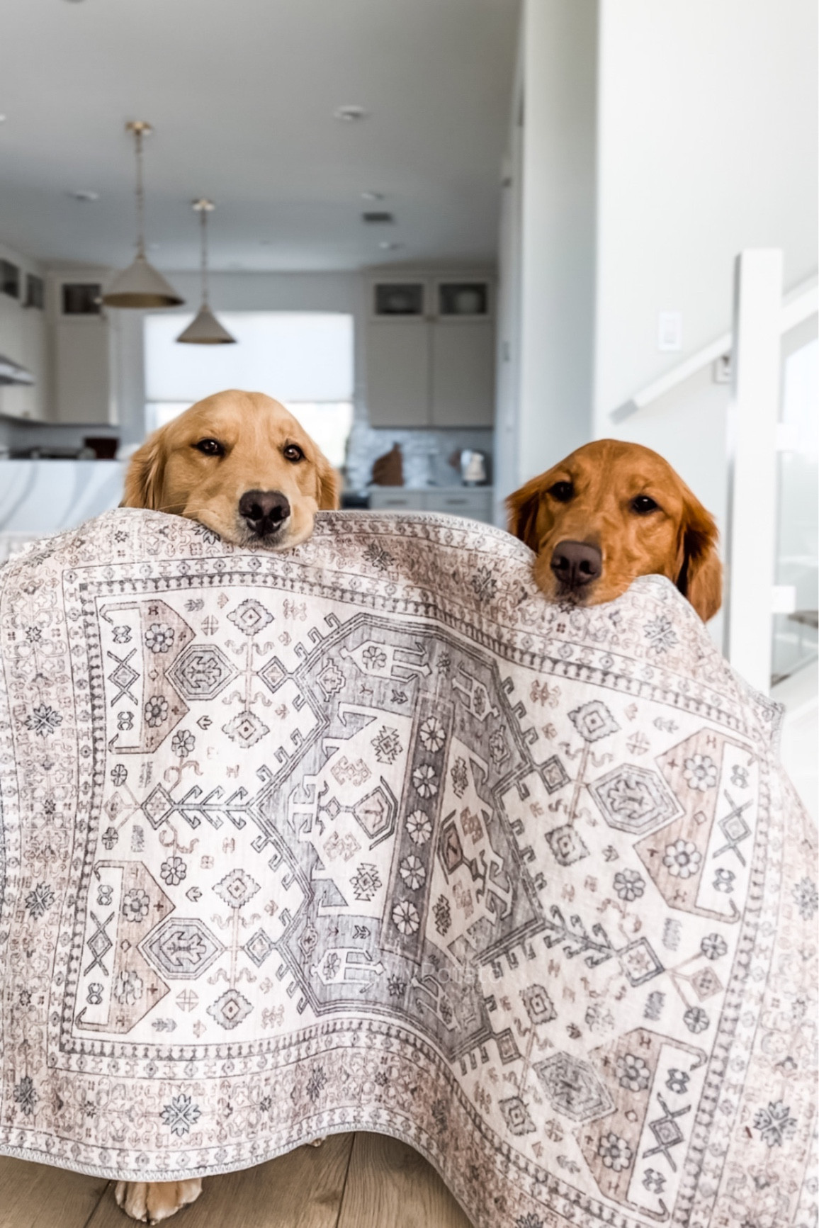 Home Depot Washable Rugs!