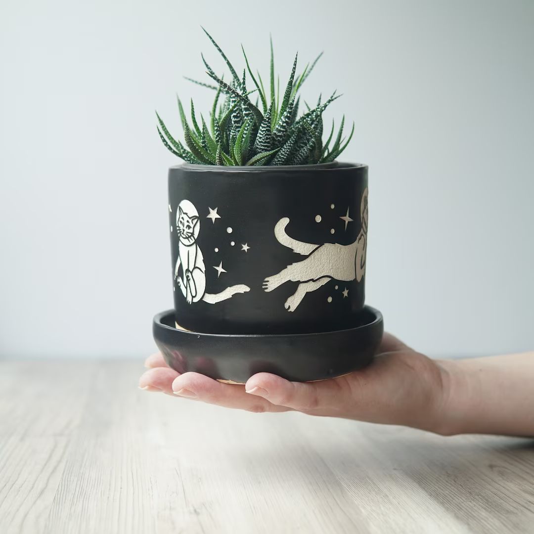 Space Cats Planter  Black Plant Pot With Drainage  Saucer - Etsy | Etsy (US)