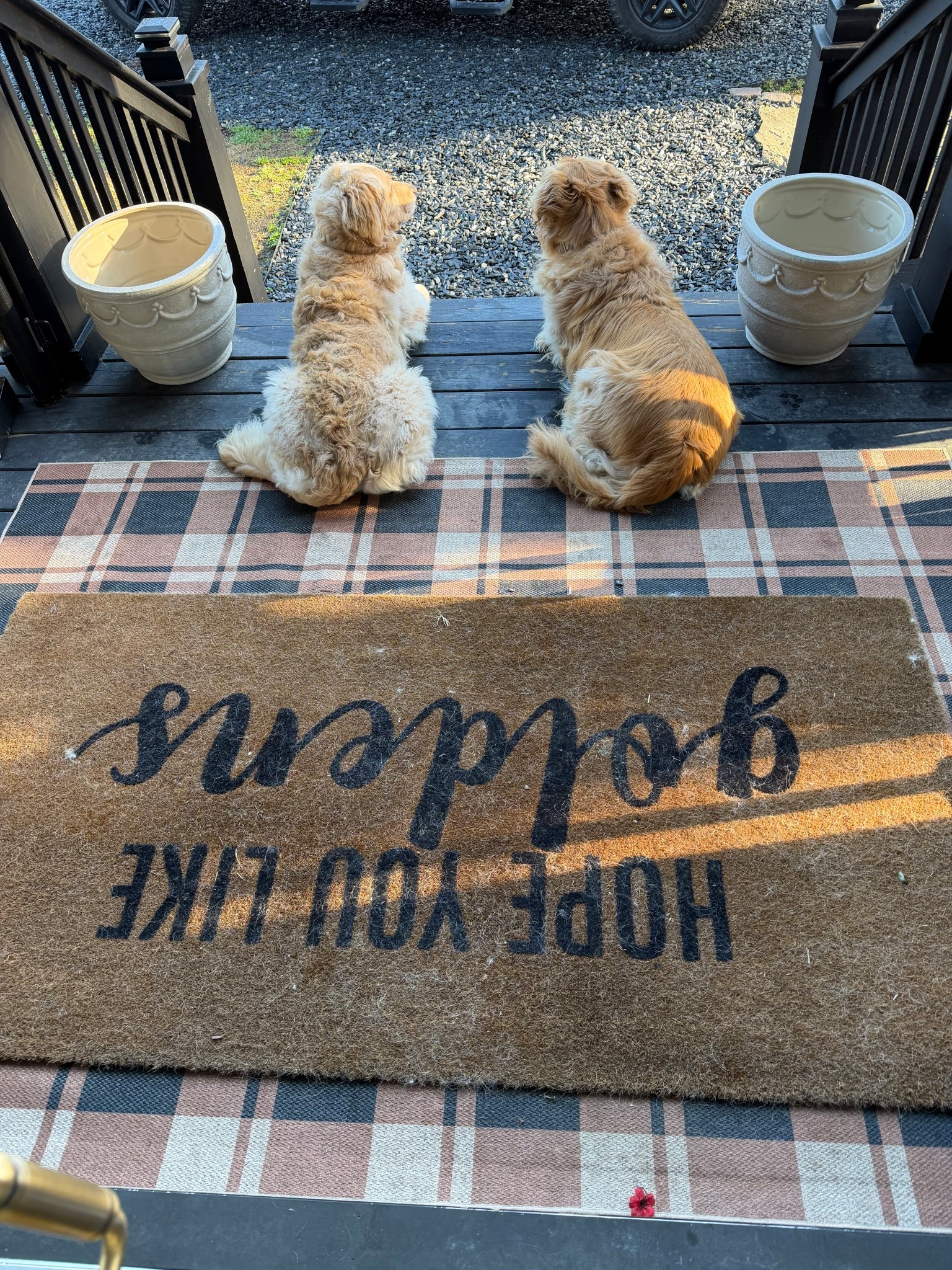 Front porch things 🤎 Amazon rug, Etsy door mat, Walmart planters I LOVE!!!!

Home / outdoor / dog mom / Holley Gabrielle 

#LTKSeasonal #LTKHome