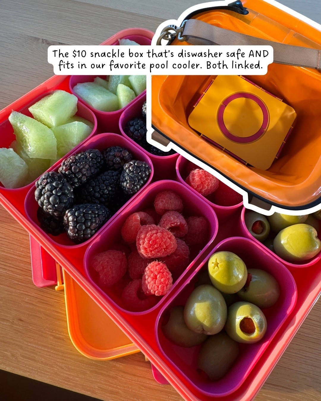 The dishwasher safe $10 snackle box that fits in the 39 can Rtic cooler we love for the pool!