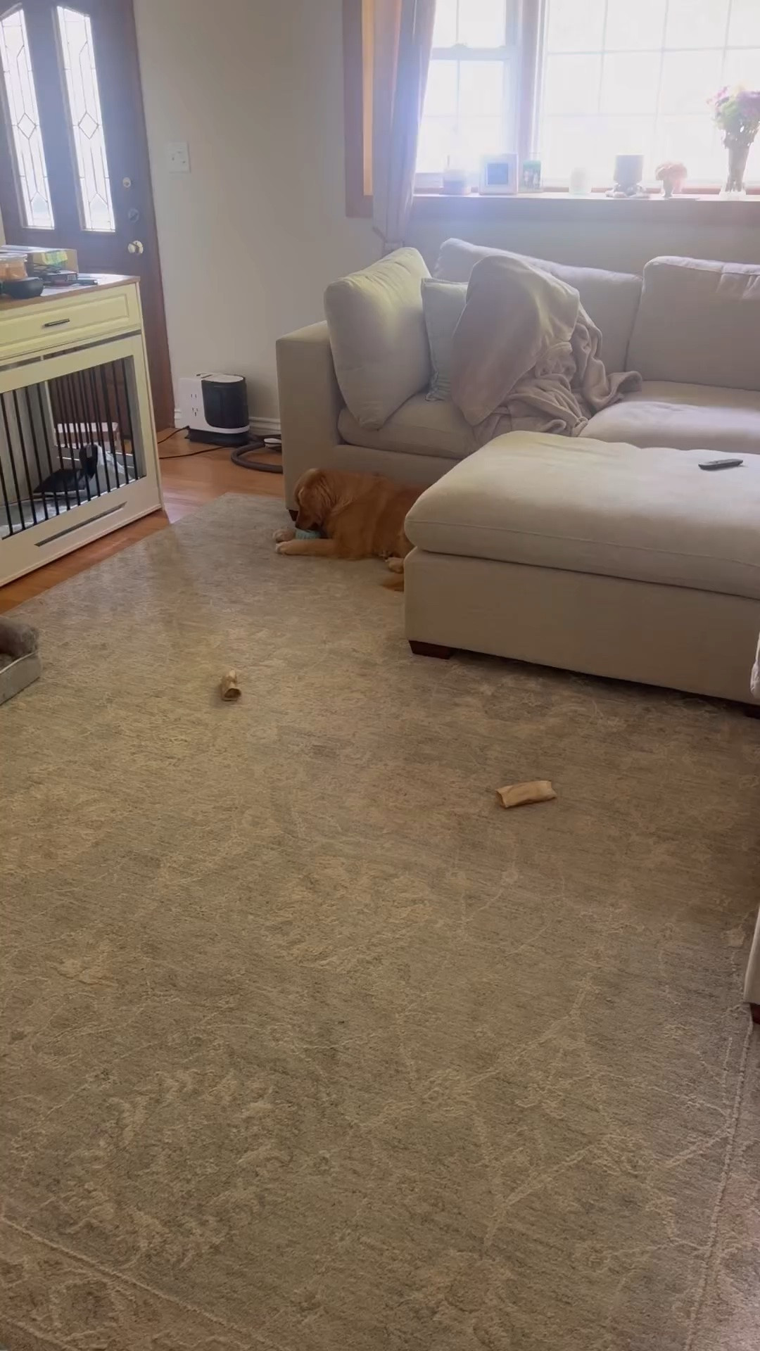 A pupsicle of enrichment for my pup

#LTKdayinmylife #LTKselfcare #LTKSeasonal