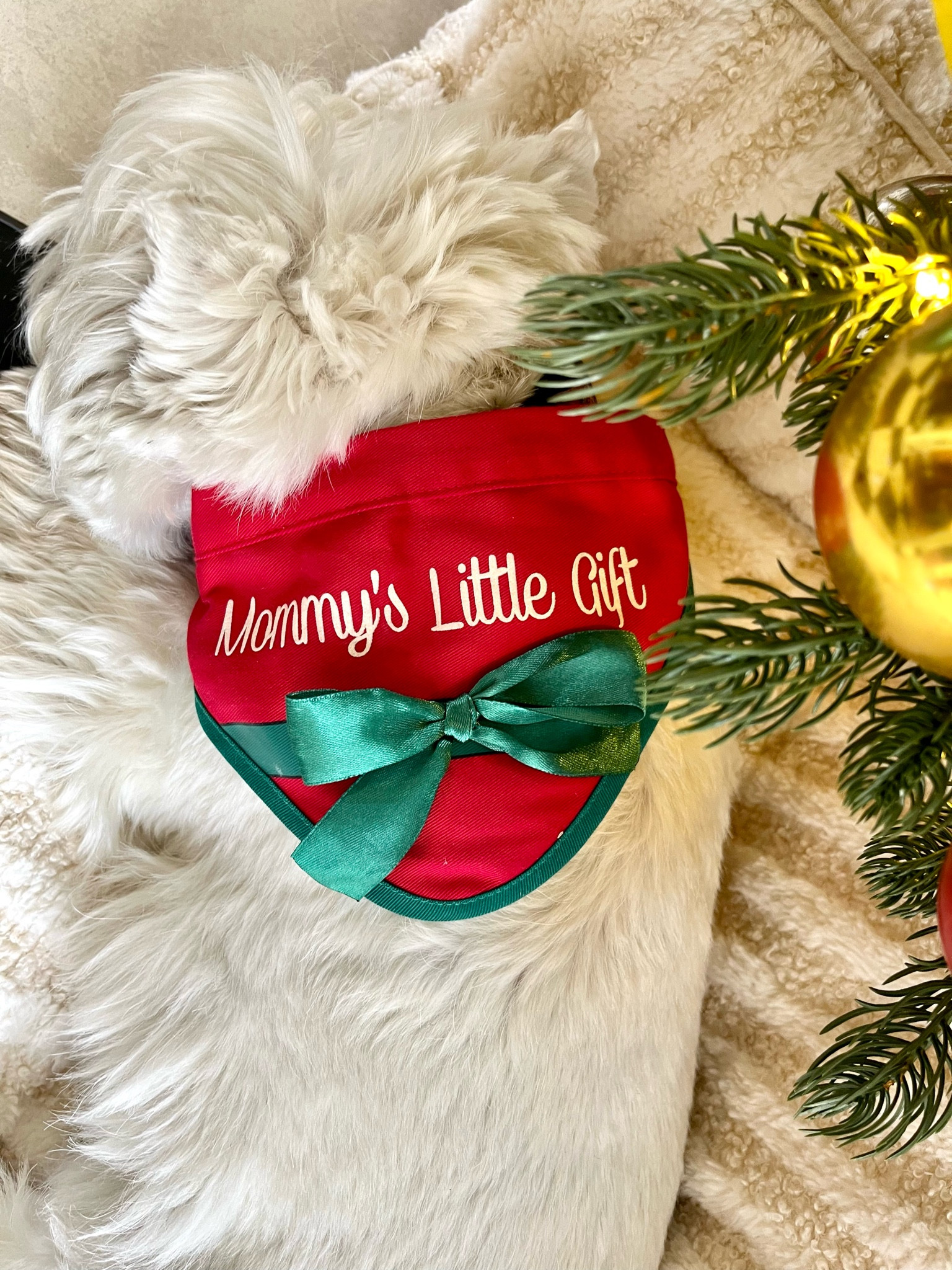 Wellie wears this special Christmas dog bandana every year. I spotted another one online plus a bunch of other adorable choices. Perfect for a Christmas photo session!

#LTKCyberWeek #LTKSeasonal #LTKHoliday