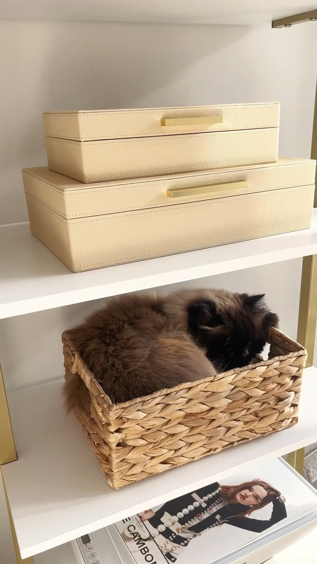 Amazon must haves | Amazon finds | viral Amazon find | Amazon home decor | affordable home decor | look for less | gift ideas | gifts for her 

Affordable home decor | elevated home decor | elegant home decor | neutral home decor | white home decor | aesthetic home | home finds under $50 | Amazon home finds | amazon luxury finds | amazon aesthetic home  | apartment decor | affordable apartment finds | apartment finds | organization | aesthetic organization | luxury organization | shelf styling 

#LTKSaleAlert #LTKHome #LTKOver40