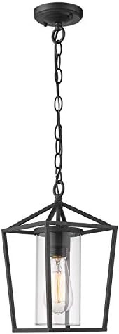 Emliviar Modern Outdoor Pendant Light, 1-Light Outdoor Hanging Lantern Light in Balck Finish with Cl | Amazon (US)