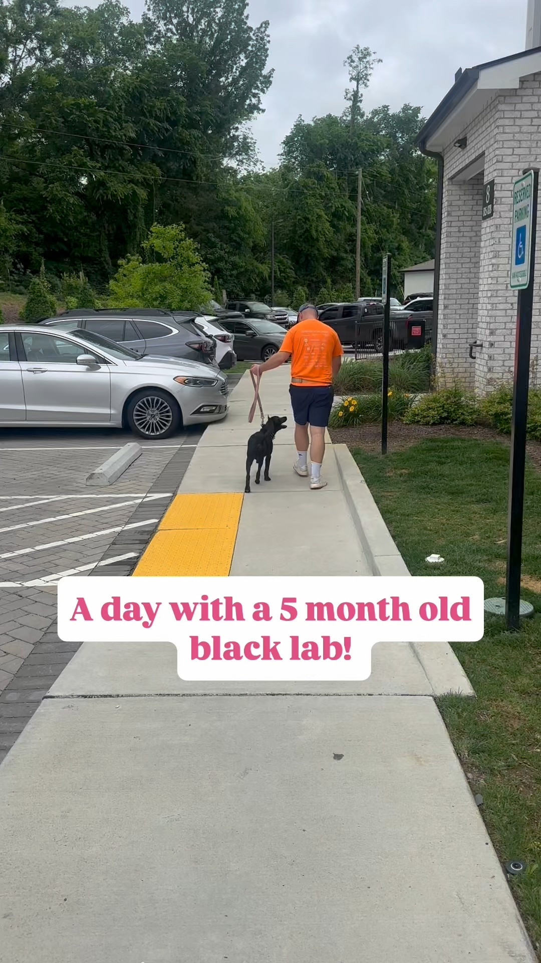 Spend a day with us & our 5 month old puppy!! She has a TON of energy now, which means lots of time outside!! She keeps getting cuter every single day - it’s impossible to say no to her 🤣

#LTKPets